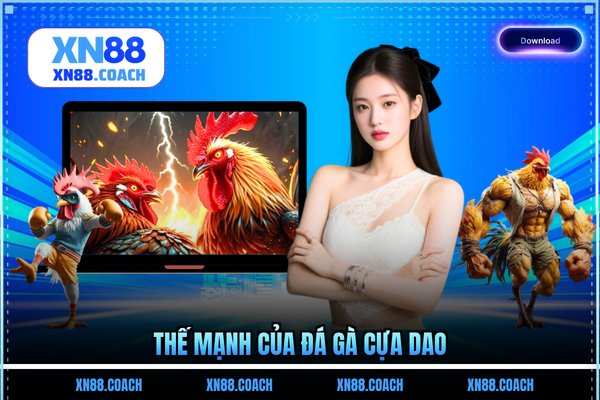 Thế mạnh của đá gà cựa dao